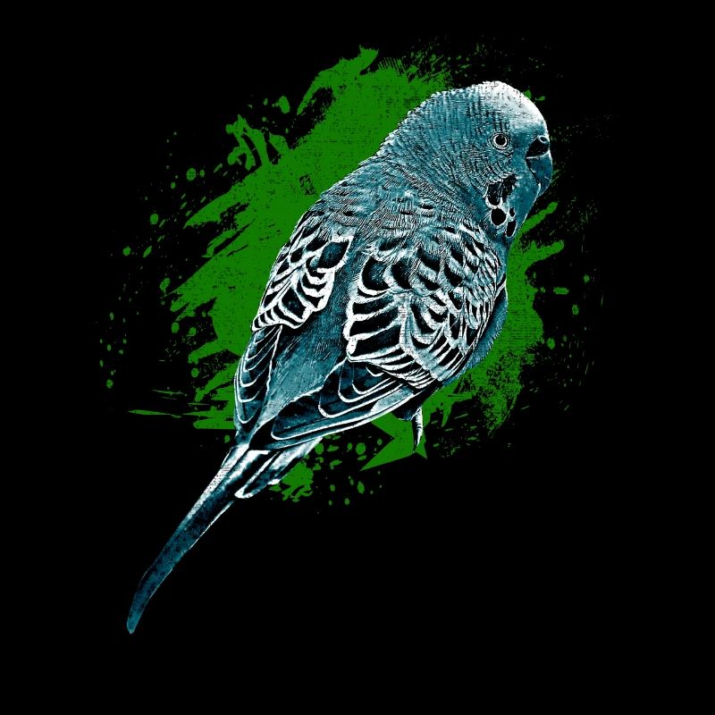 Budgerigar