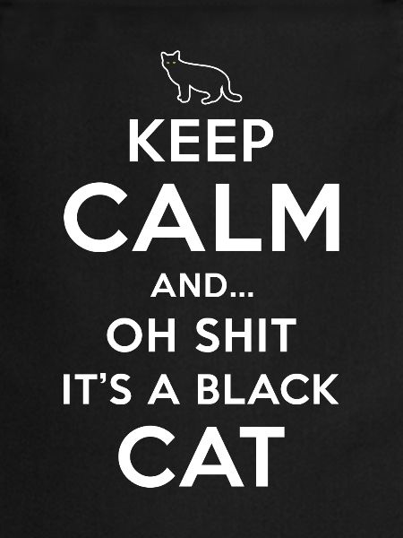 Superstition Chat Noir