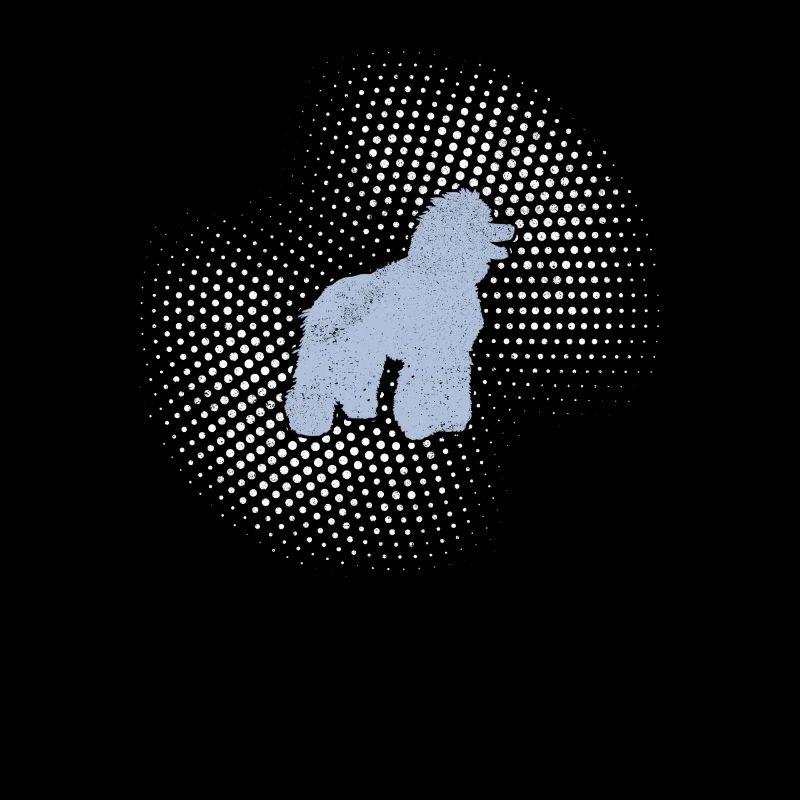 Caniche