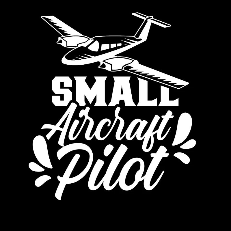 Pilot Eines Kleinflugzeugs Jet Kleinflugzeug