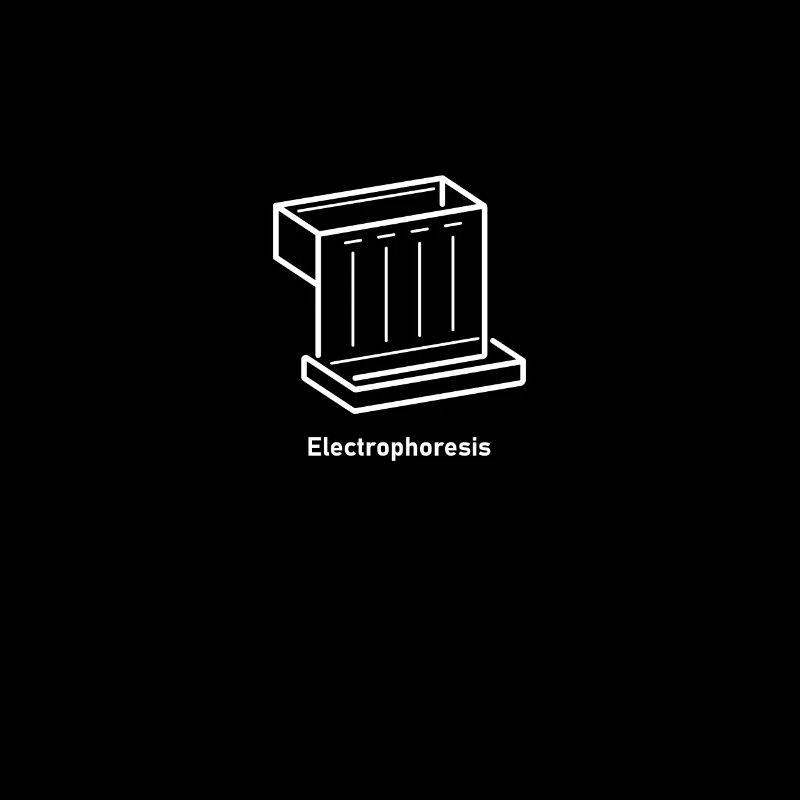Électrophorèse