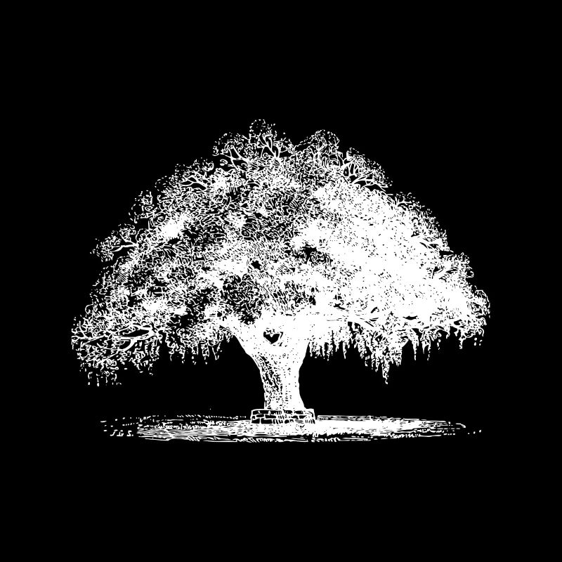 Arbre