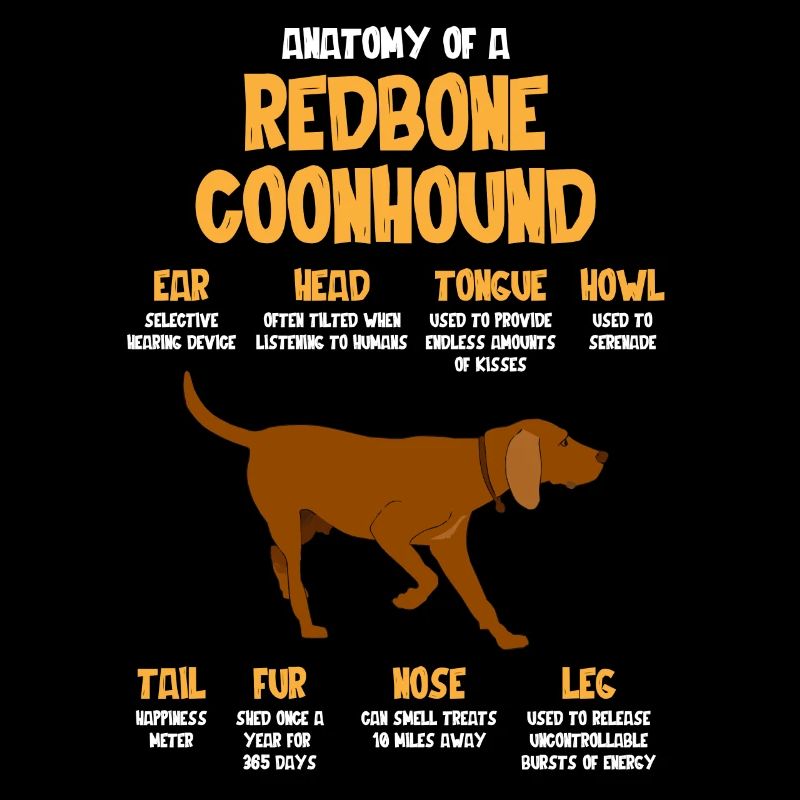 Anatomie d’un Redbone Coonhound