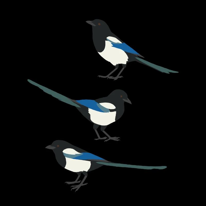 Drôles d’oiseaux Pie