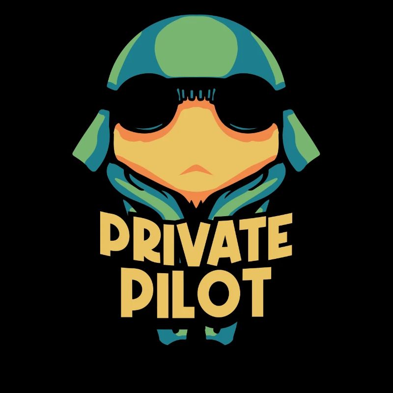 Privatpilot Jet Leichtflugzeug Kleinflugzeug