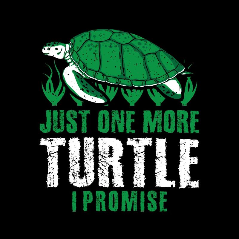 Just one more Turtle I promise