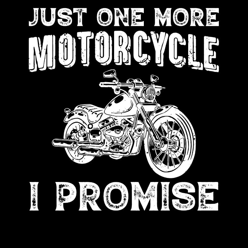 Nur Noch Ein Motorrad Das Verspreche Ich Motorrad