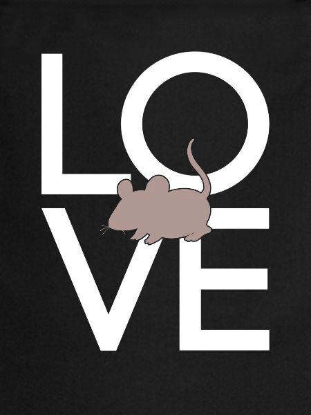 Souris