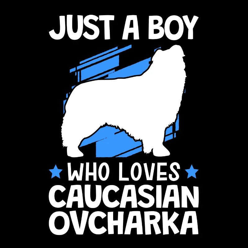Le garçon d’ovcharka aime le chien caucasien