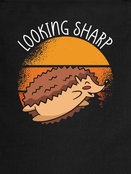 Search Sharp Hedgehog