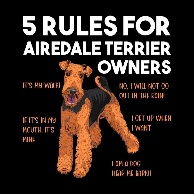 Airedale Terrier Hund