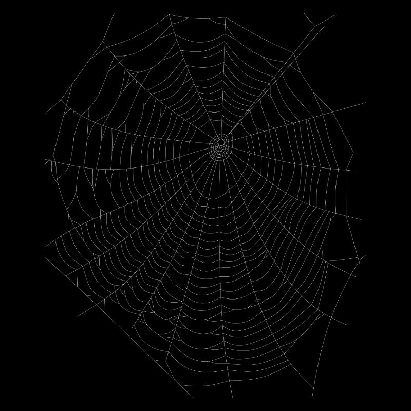 Spider Web Network Halloween Web