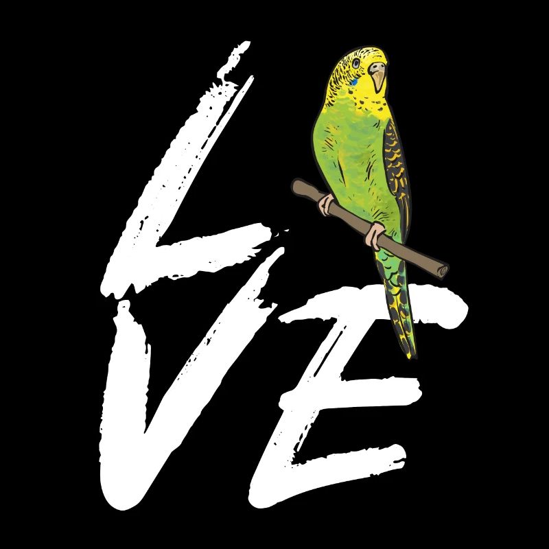 Budgerigar Perruche Oiseau Cadeau pour animaux de compagnie