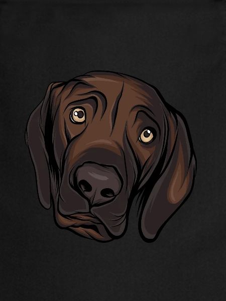 Labrador