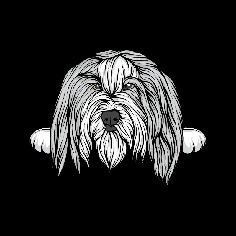 Chien