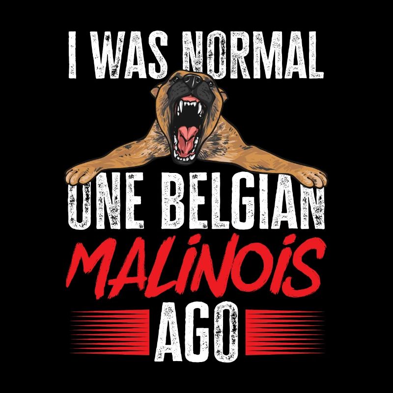 Malinois Belgian Shepherd Mechelaar Dog