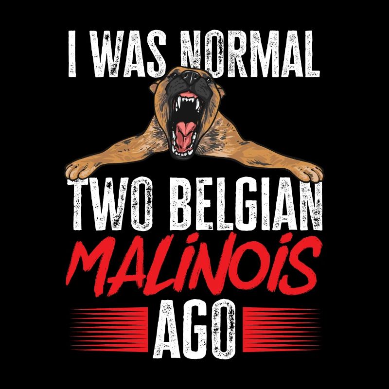 Malinois Belgian Shepherd Mechelaar Dog