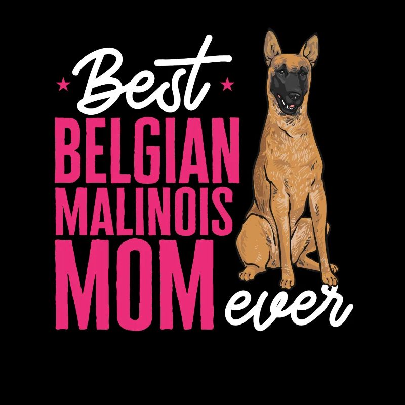 Malinois Belgian Shepherd Mechelaar Dog
