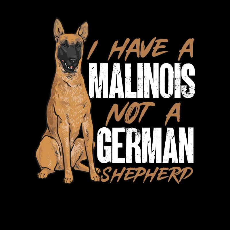 Malinois Belgian Shepherd Mechelaar Dog