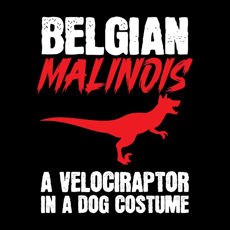 Malinois Belgian Shepherd Mechelaar Dog