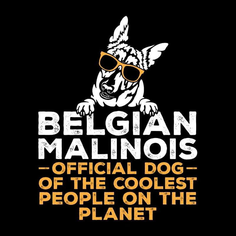 Malinois Belgian Shepherd Mechelaar Dog
