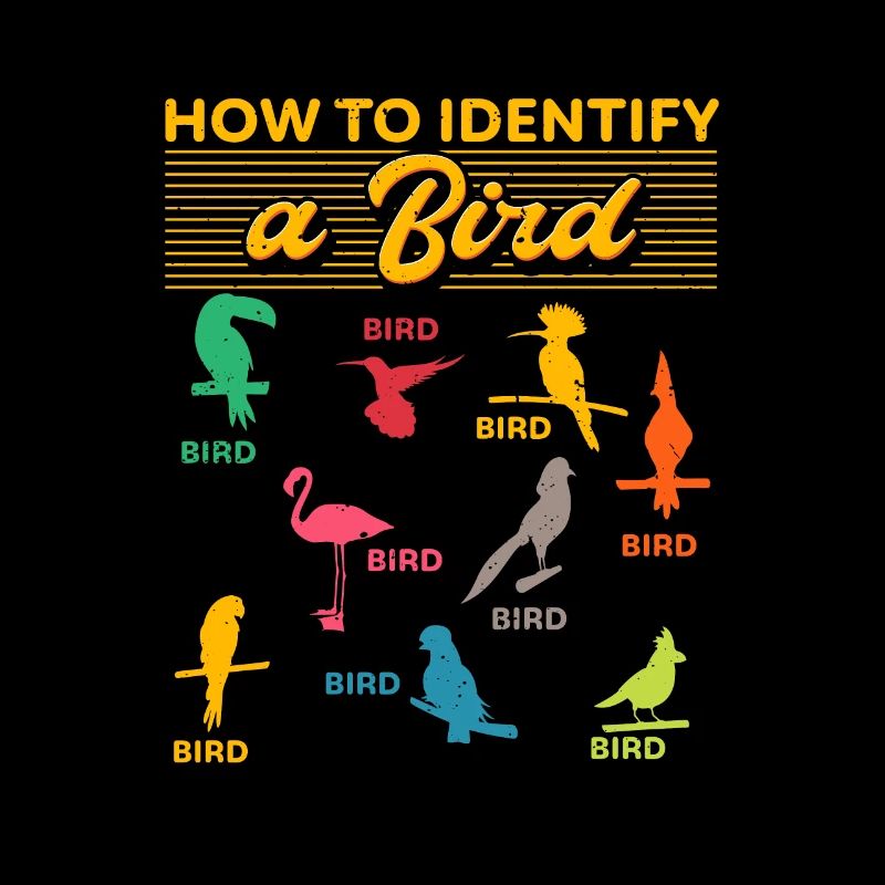 How To Identify A Bird Bird Watching
