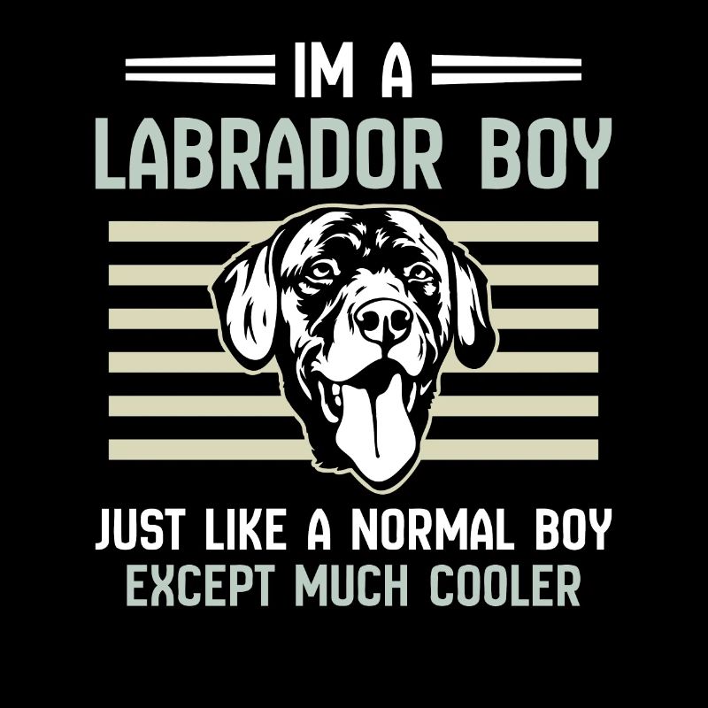 Im a Labrador boy