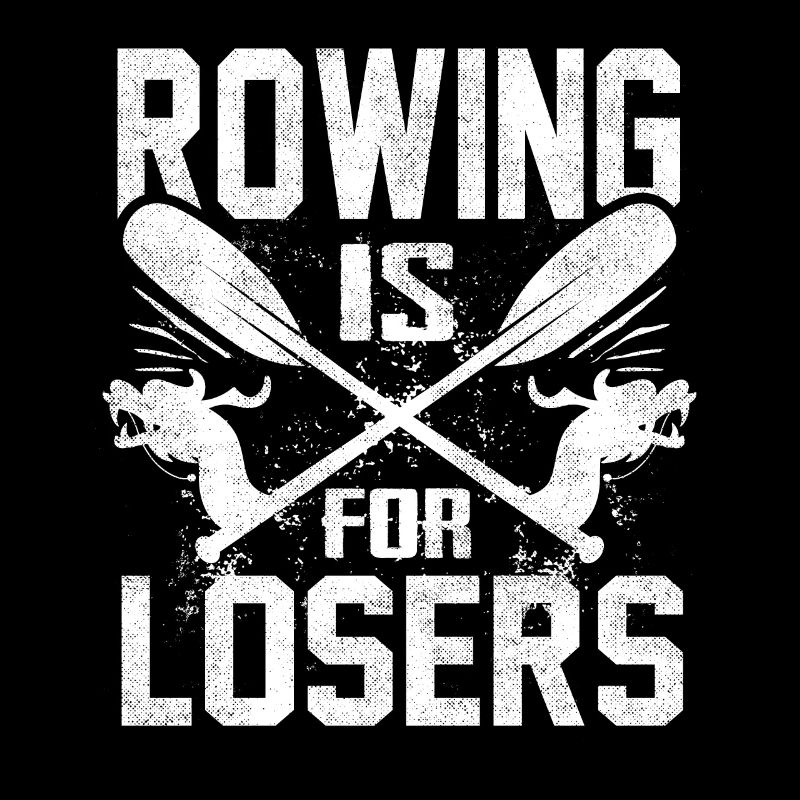 Course de bateaux-dragons, bateaux-dragons