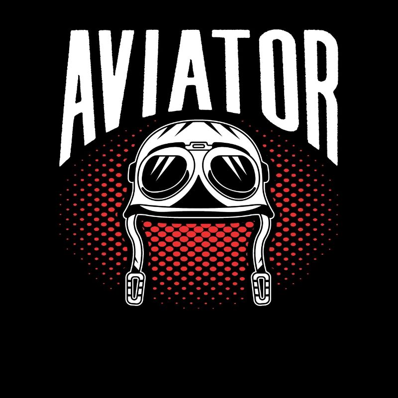 Pilote d’avion léger Pilote d’avion léger