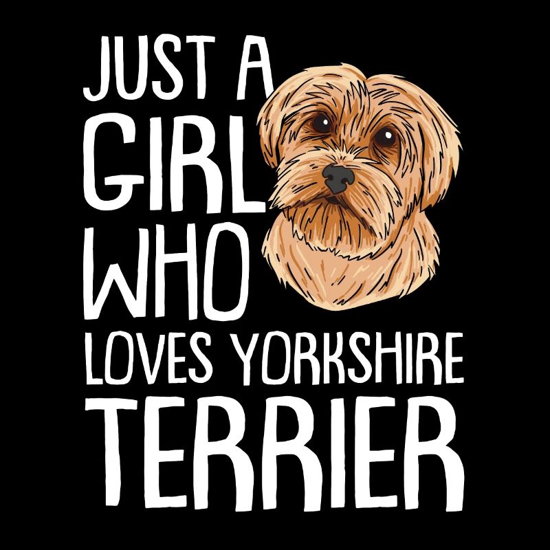 Yorkshire Terrier Hund Dog Hundehalter