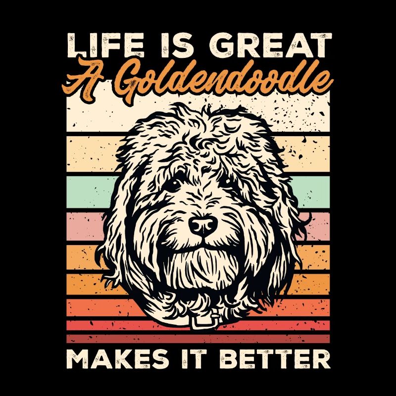 Goldendoodle Doodle Chien