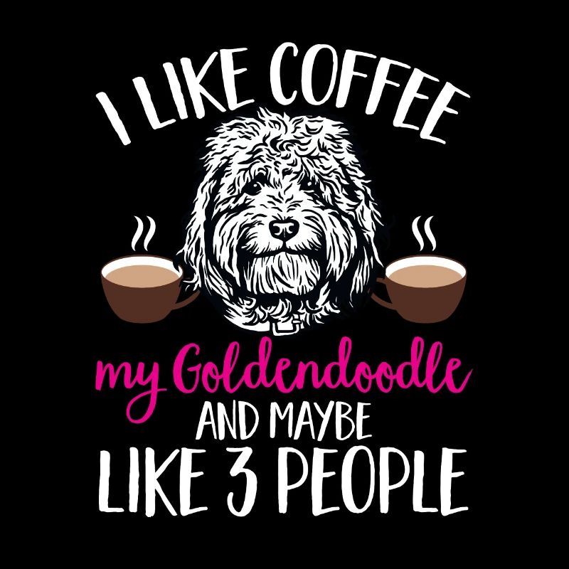 Goldendoodle Doodle Chien