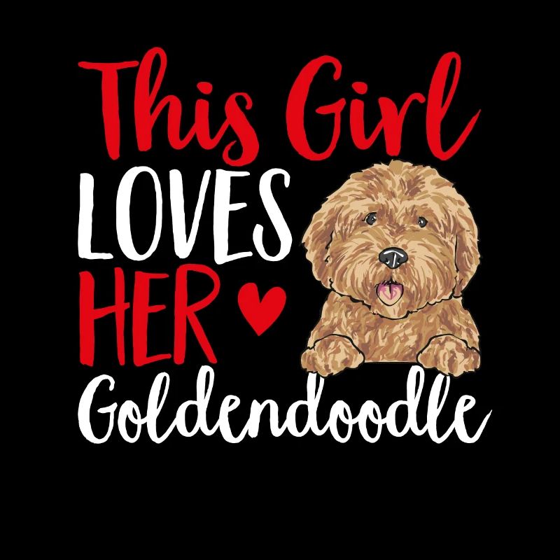 Goldendoodle Doodle Chien