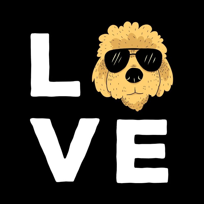 Goldendoodle Doodle Chien