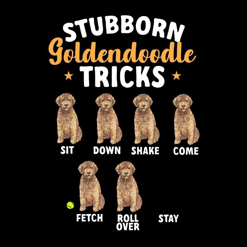 Goldendoodle Doodle Chien