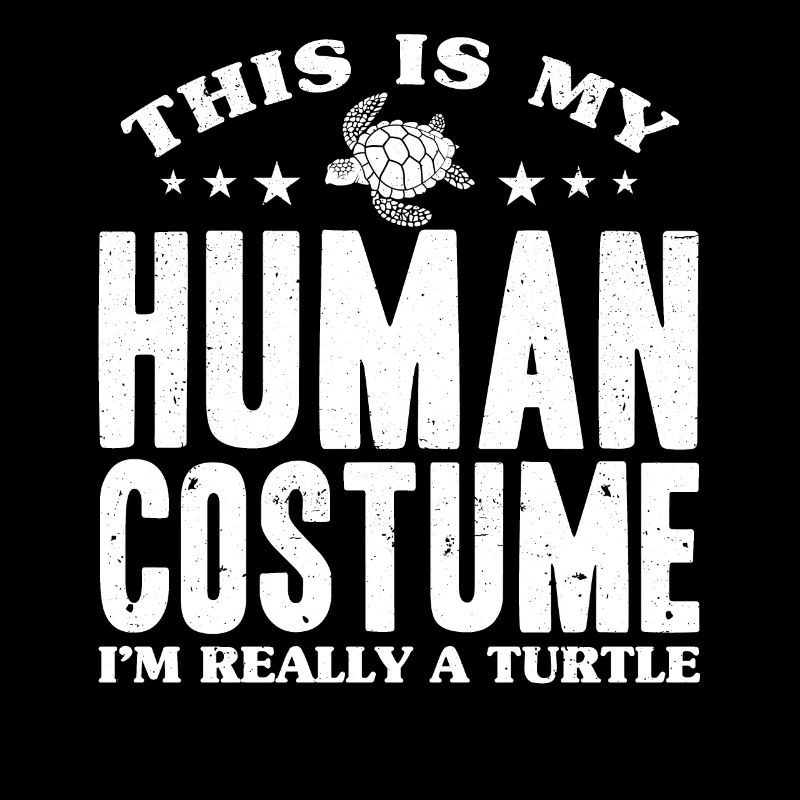 Tortue