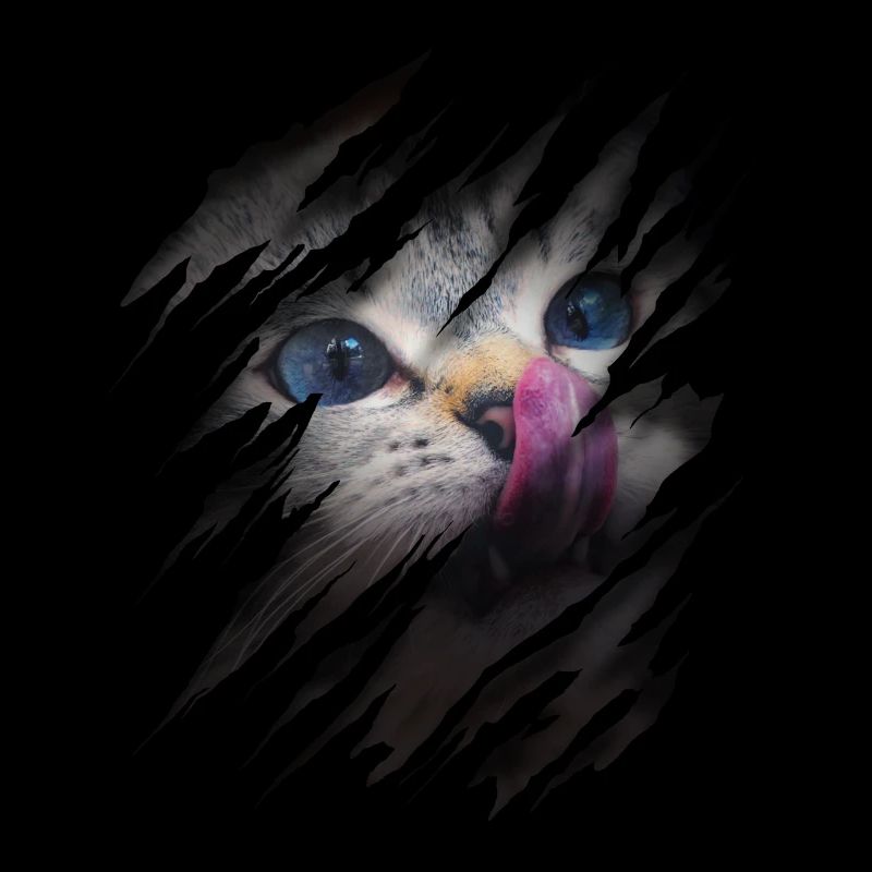 Cat with scratch - Cat face Scratch Cat