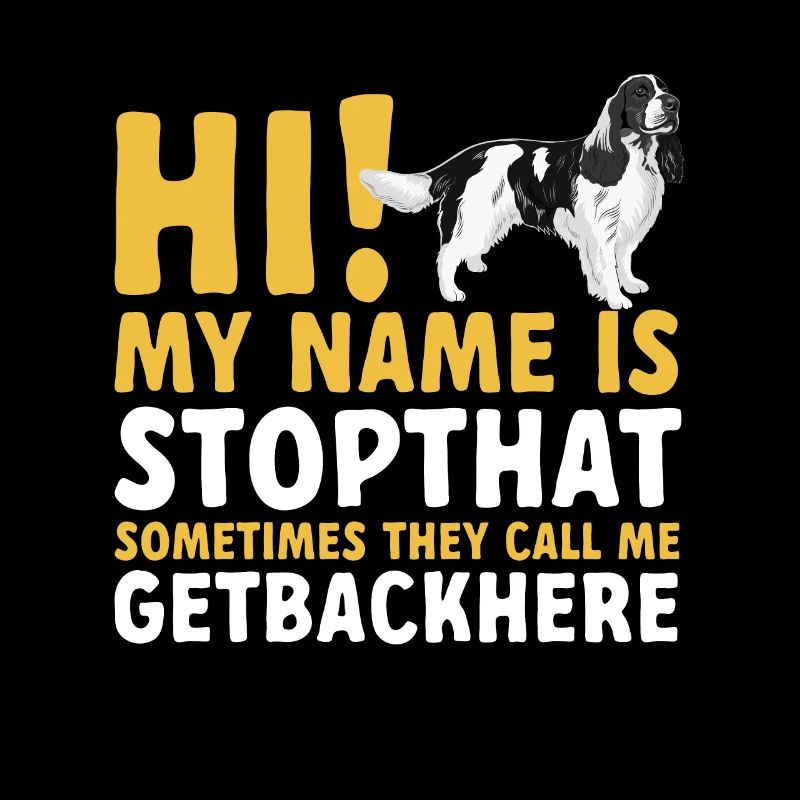 English Springer Spaniel Dog