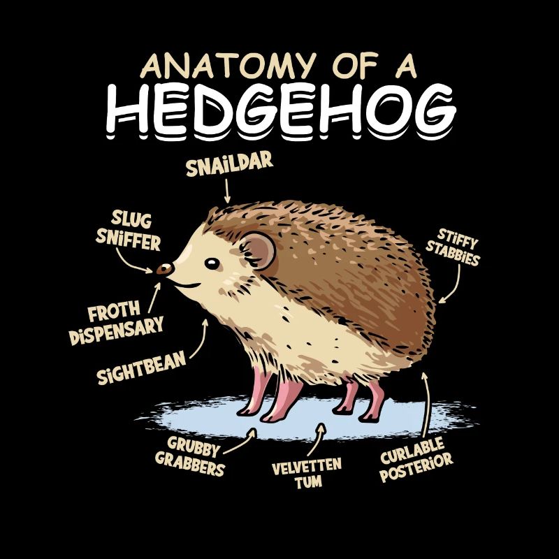 Hedgehog owners Hedgehogs lover cute animal