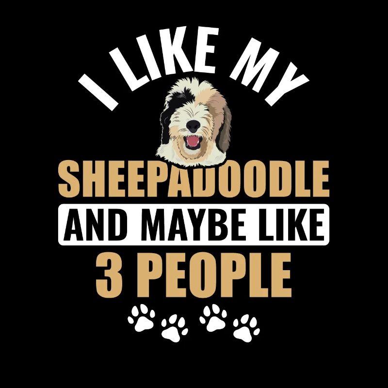 Sheepadoodle Doodle Hund