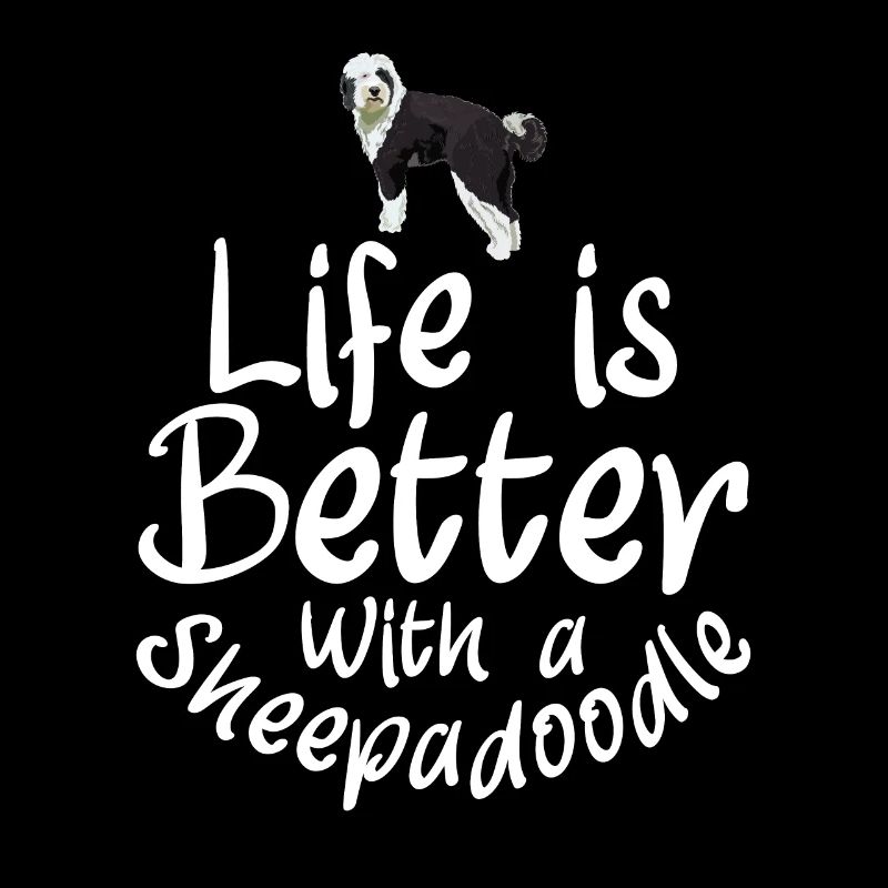 Sheepadoodle Doodle Hund