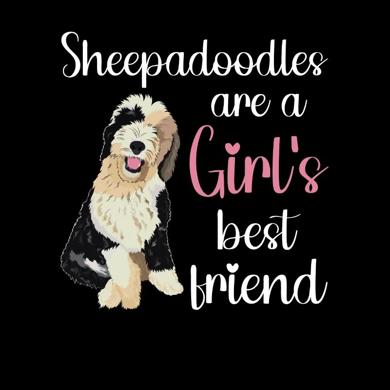 Sheepadoodle Doodle Dog