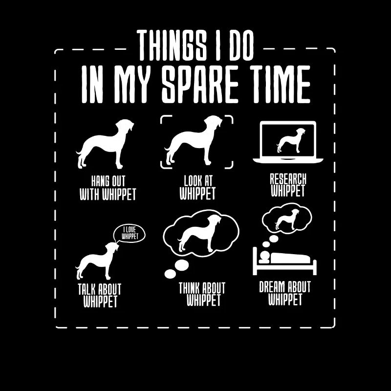 Whippet