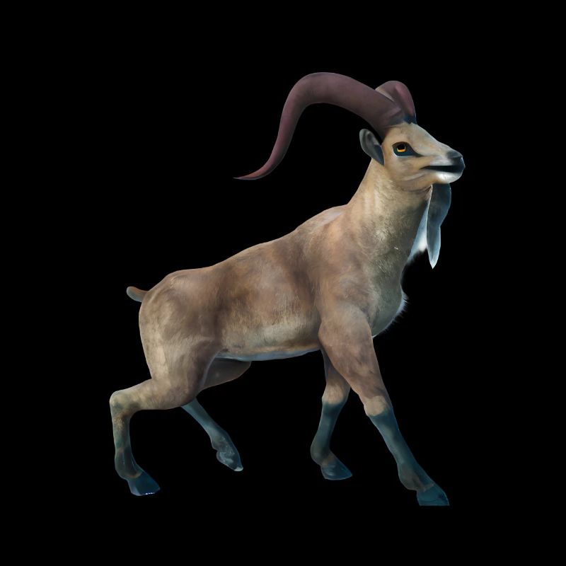 Realistic Markhor
