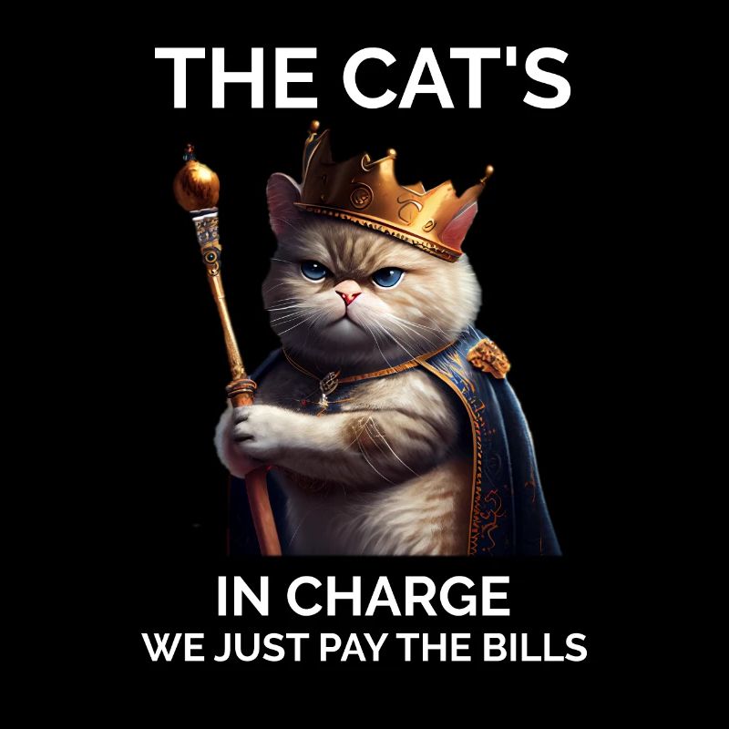 Les chats en charge du chat royal