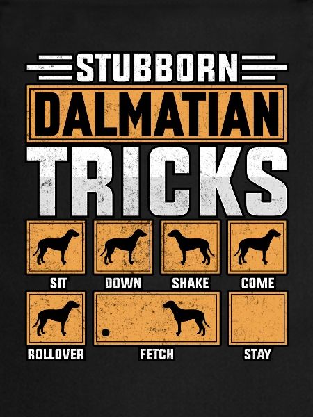 Astuces dalmates tenaces