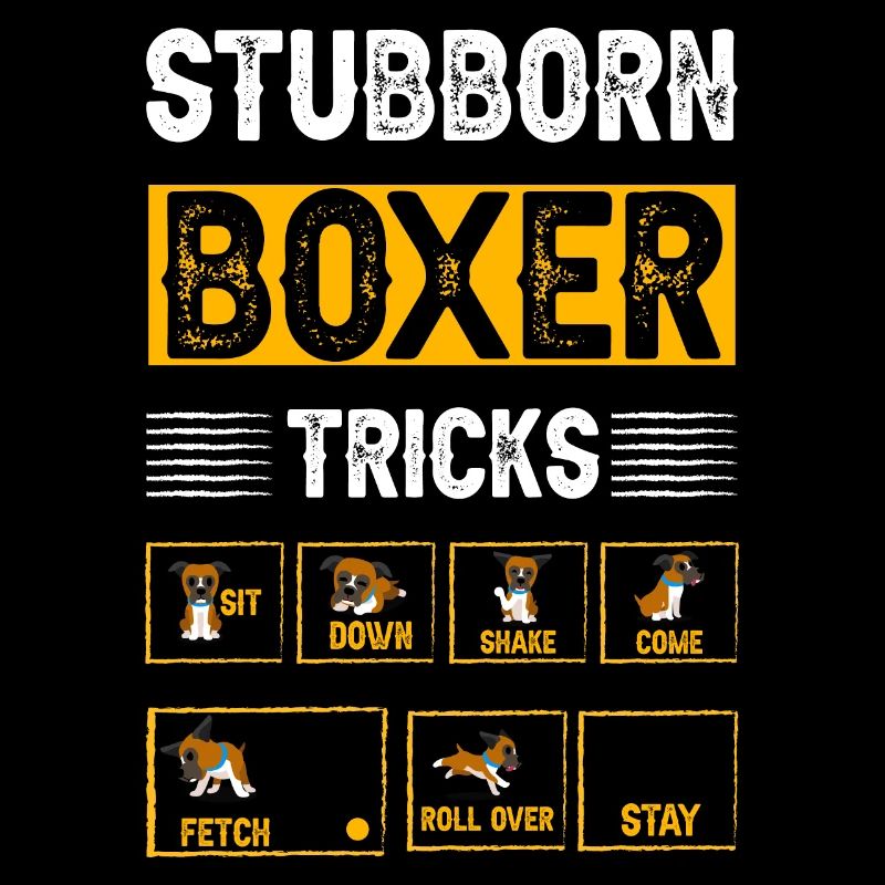 Stubborn Boxer Tricks