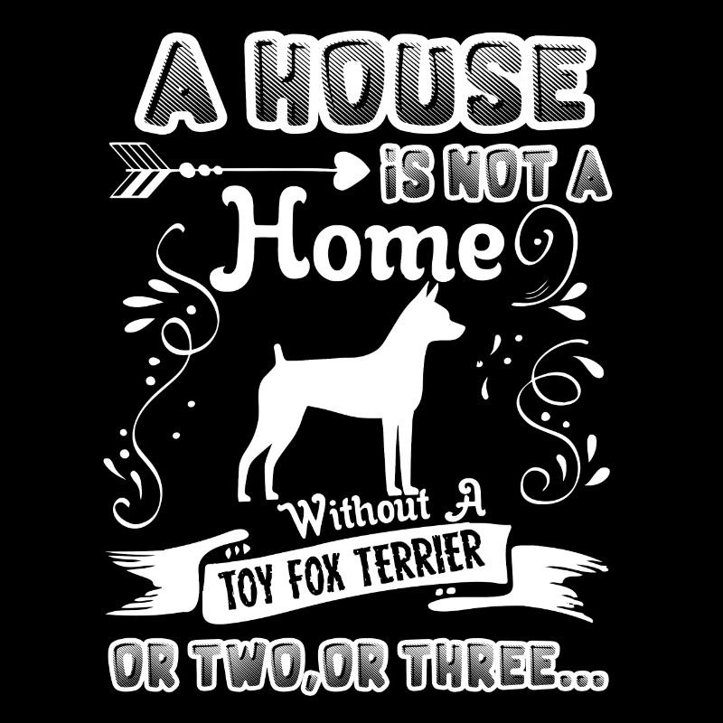 Toy Fox Terrier Home Without Toy Fox Terrier