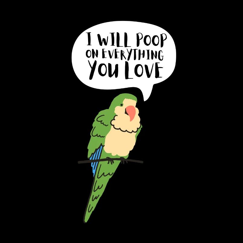 Blue Quaker Parrot Mom