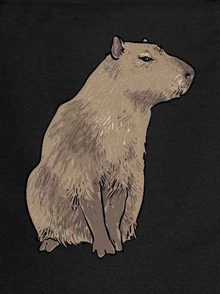 Capybara rodent